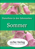 Naturfotos in den Jahreszeiten- Sommer. CD-ROM ab Windows 9x.  (Lernmaterialien)
